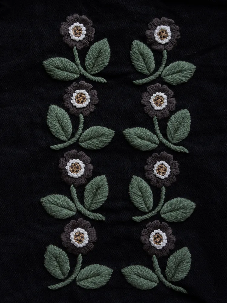Primula