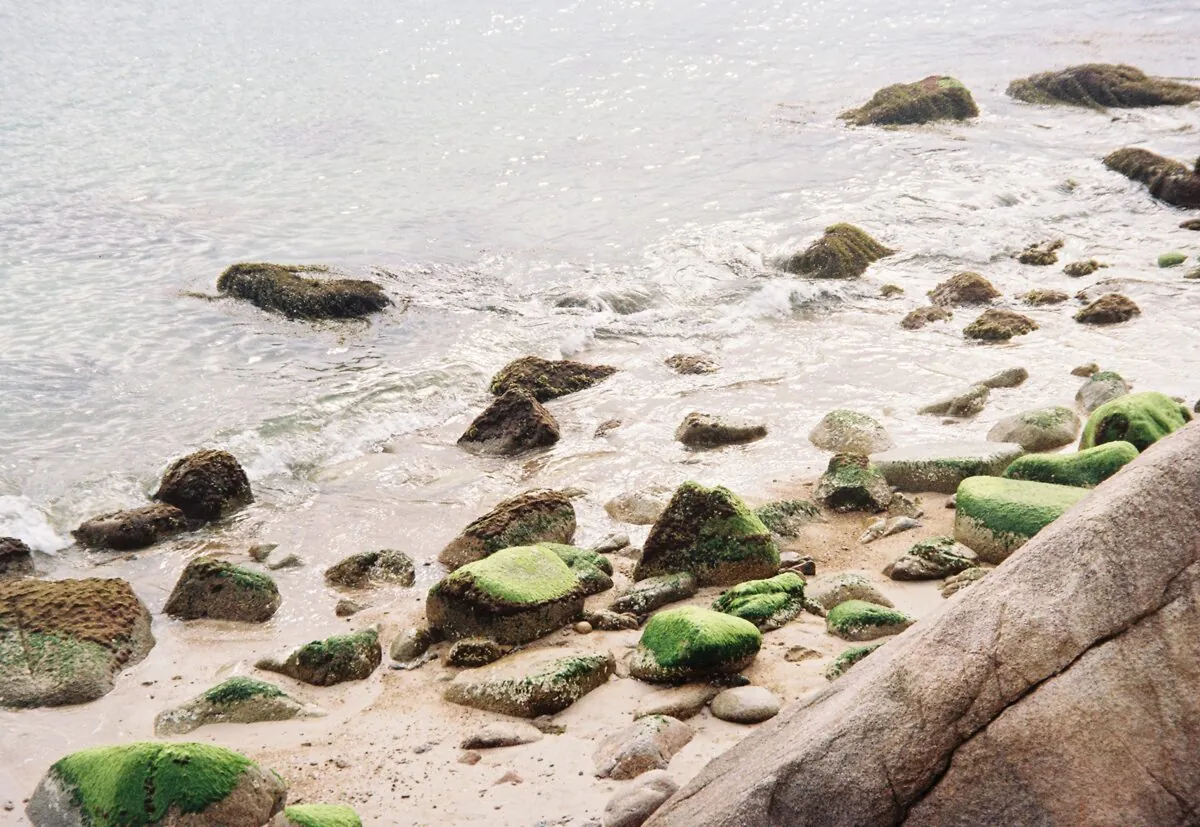 Moss-covered rocks scattered on a sandy beach as gentle waves wash ashore.
