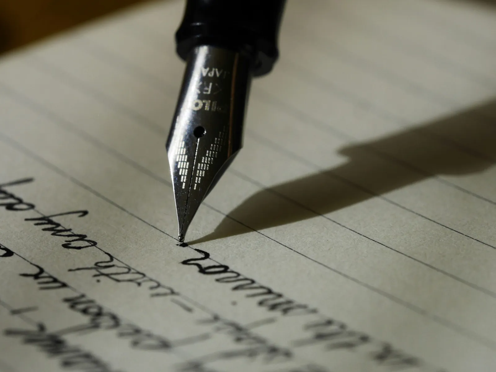 PLEASE, Write a Diary Frequently