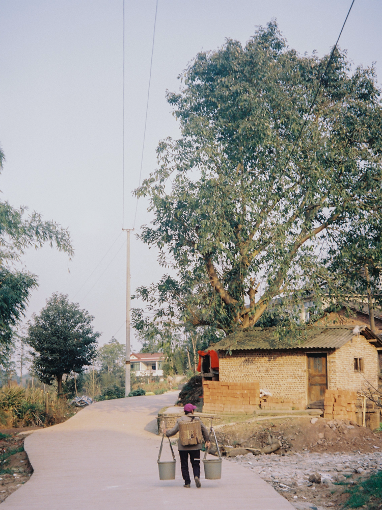 Why Do Chinese People Farm Everywhere? A Story of the Soil in Our Bones 000046