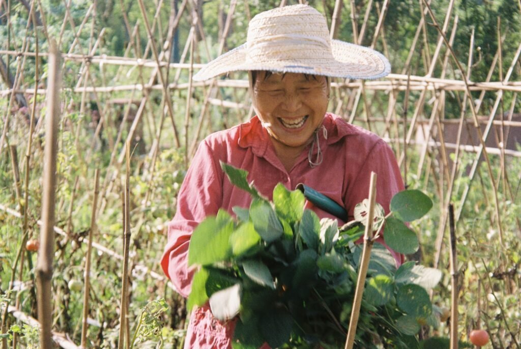 Why Do Chinese People Farm Everywhere? A Story of the Soil in Our Bones 000054