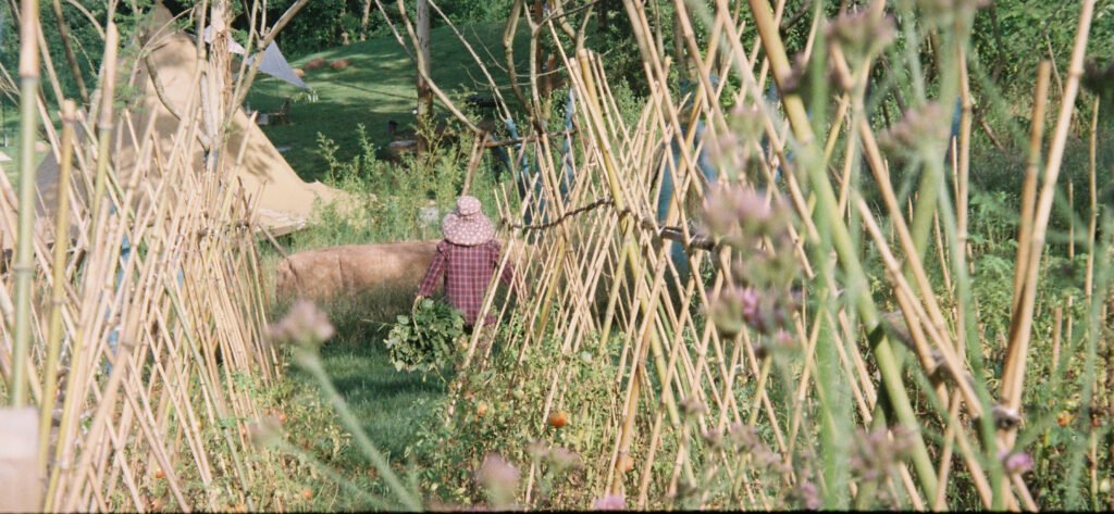 Why Do Chinese People Farm Everywhere? A Story of the Soil in Our Bones 000059