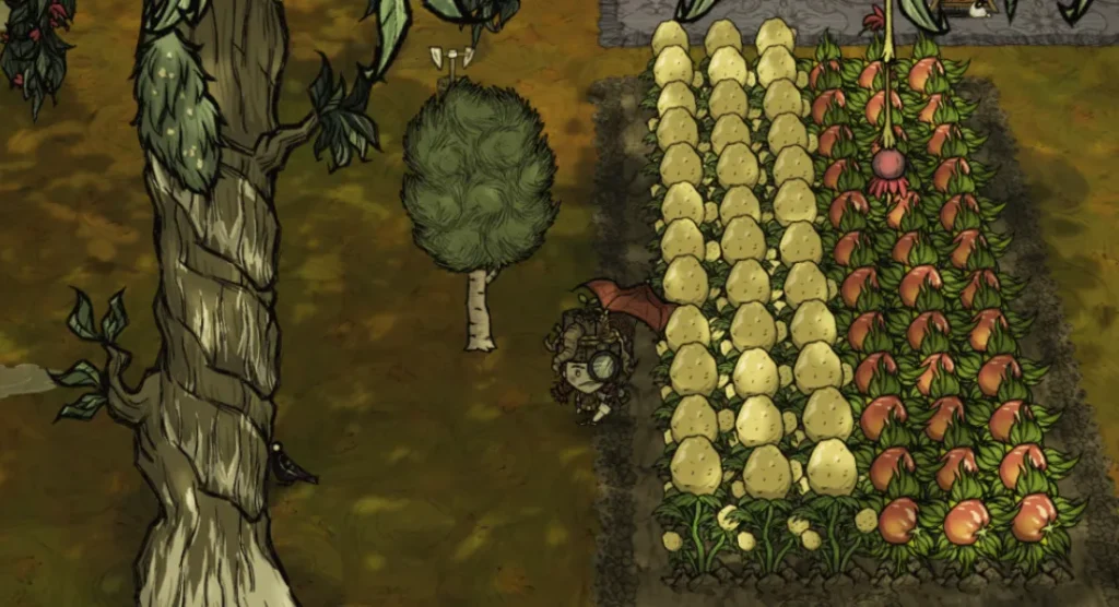 Why Do Chinese People Farm Everywhere? A Story of the Soil in Our Bones 640