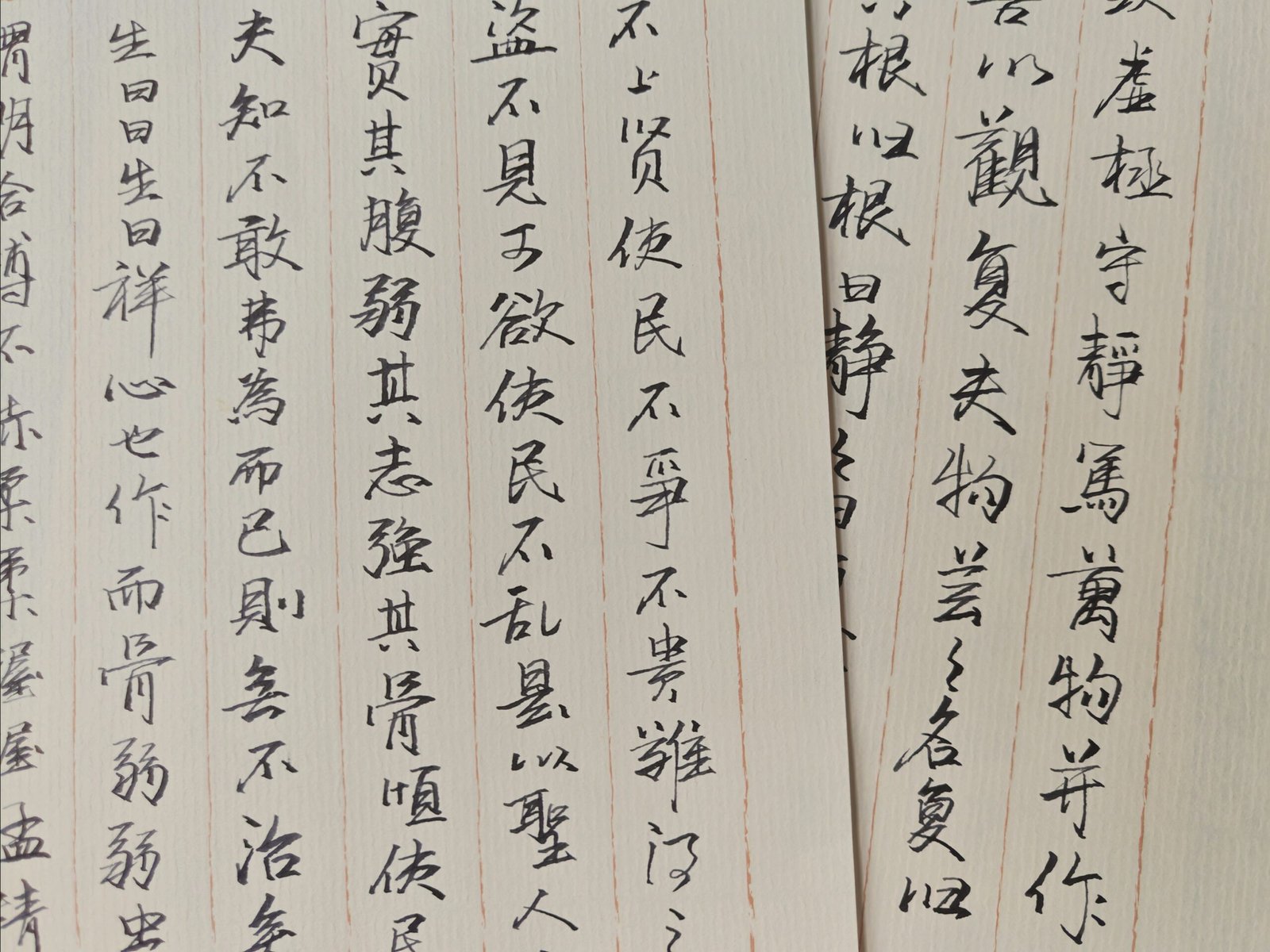 img 20251001 064221 edit 194958982769273